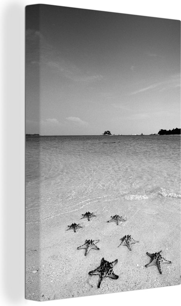 OneMillionCanvasses - Leinwandbilder - 90x140 cm, Sieben Seesterne in einer Reihe am tropischen Strand - schwarz und weiß, Wandbilder Kunstdruck...