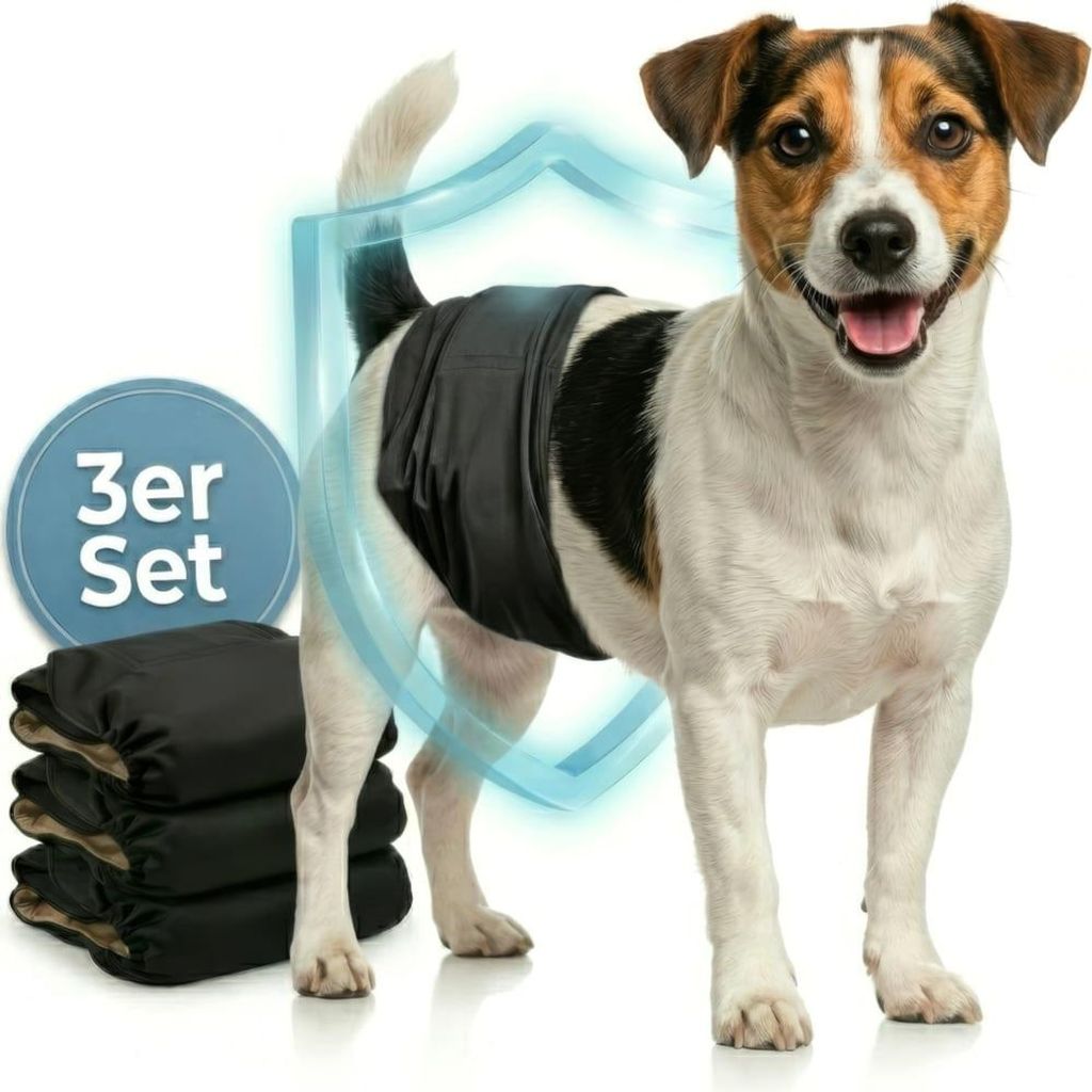 HUND IST KÖNIG Hundewindeln für Rüden [3 Stk], S (Taille Produktbild 