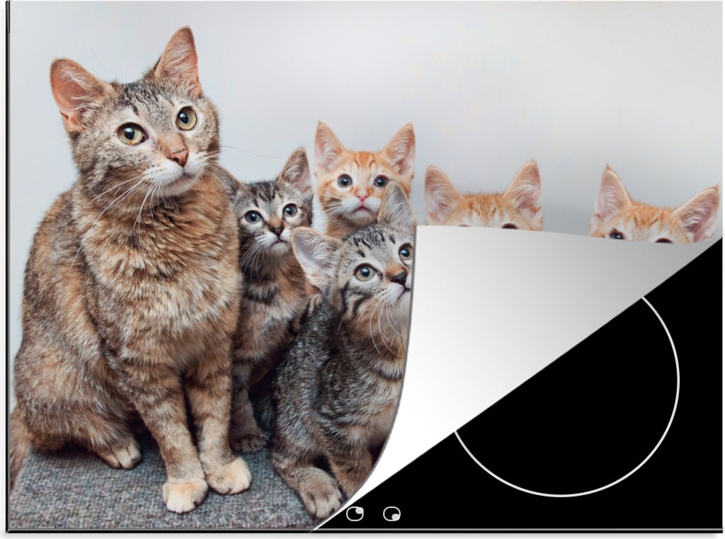 KitchenYeah Herdabdeckplatte Katze - Kätzchen - Fell , 75x52cm, Küche Deko, Glaskeramikfeld Herdabdeckung, Abdeckplatte fùr Kochfeld