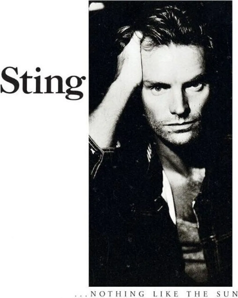 Vinyle Sting ...Nothing Like The Sun Double LP : Le Son Pur sans Compression