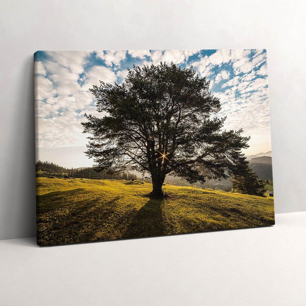 Ein Laubbaum auf einem Hügel – Leinwandbild Wandbild – 80x60 cm – Leinwandbilder – Wandbilder – Schlafzimmer – Flur