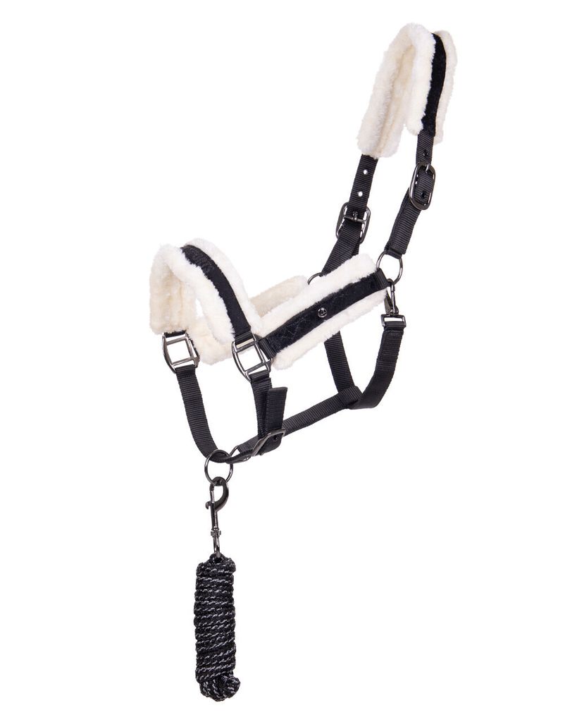 Halfter-Set Julin Schwarz Pony