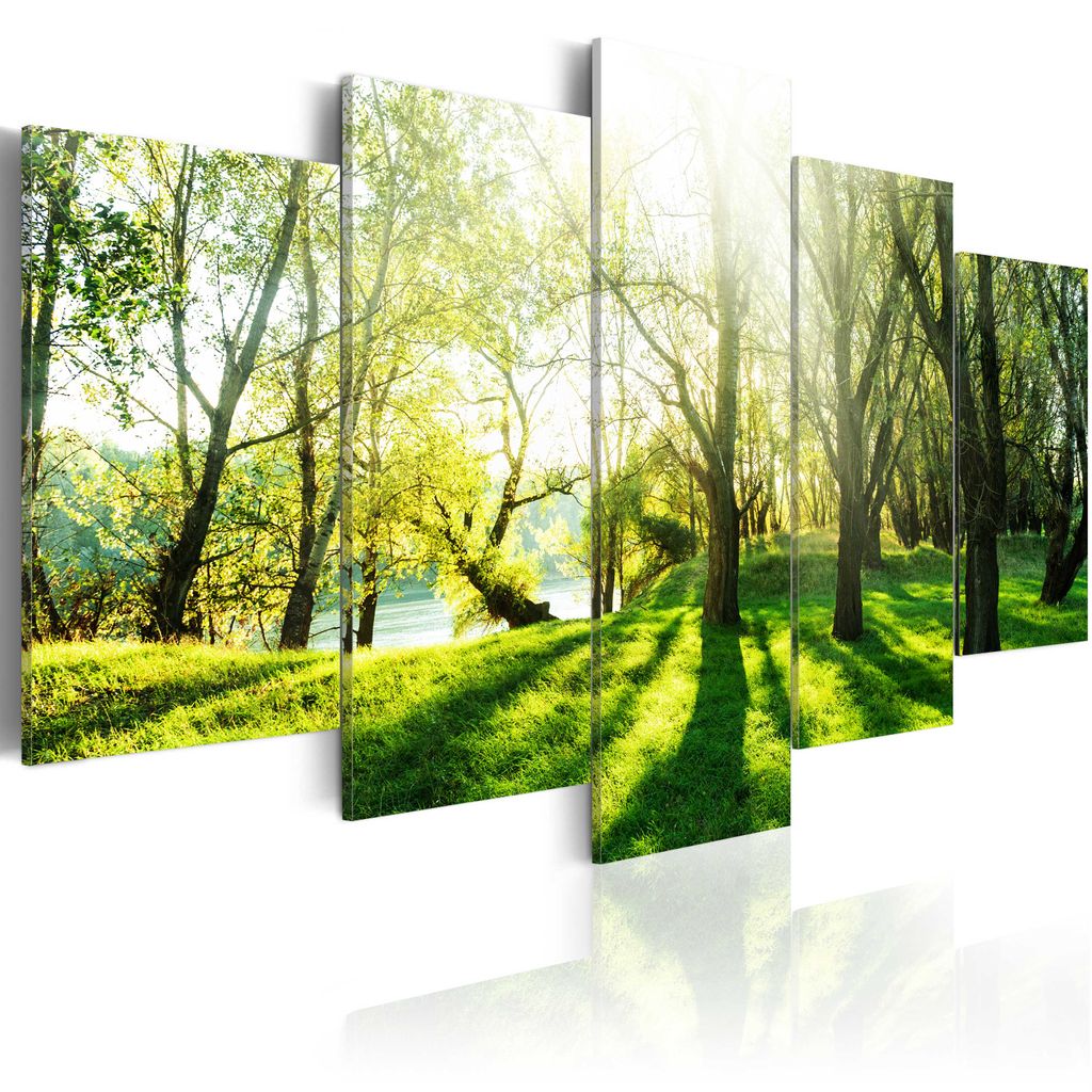 Leinwand Bild Wandbilder Bilder XXL Natur See Baum Wald Landschaft Wohnzimmer 8 