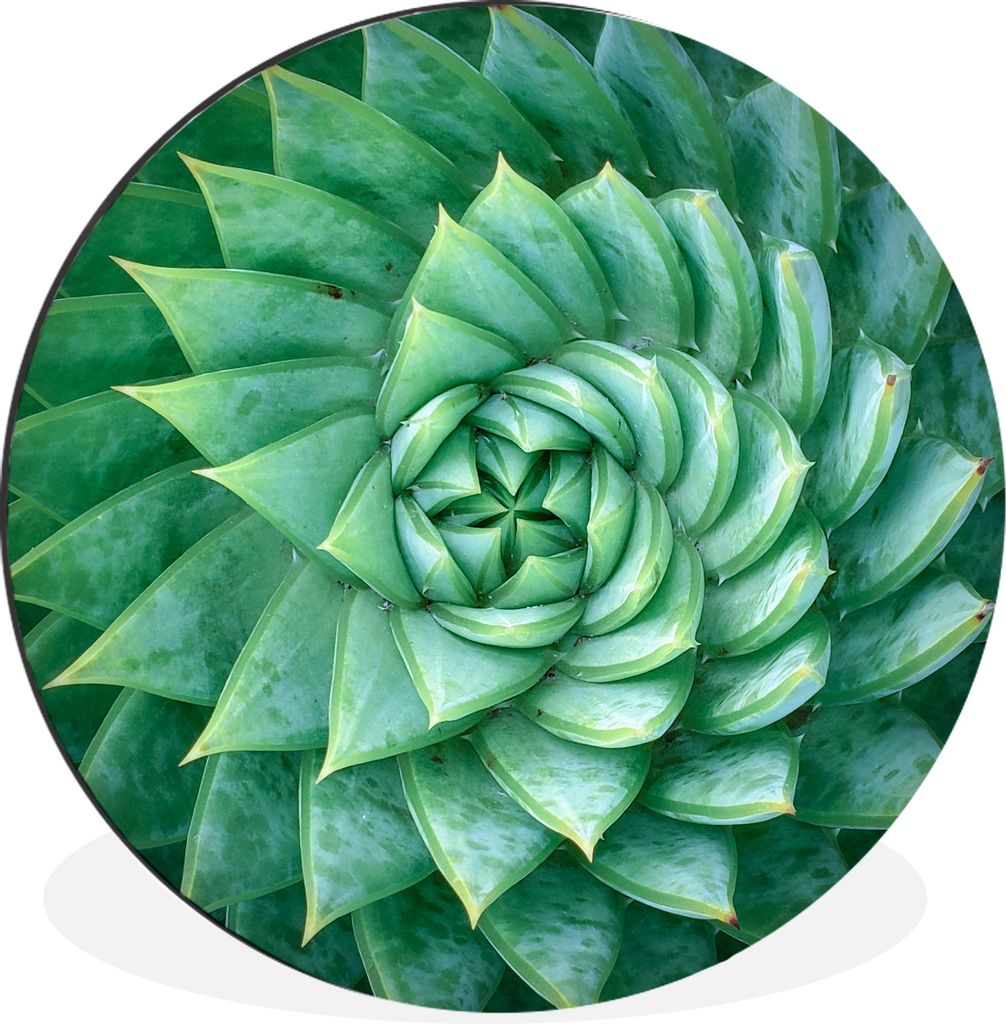 MuchoWow - Wand Kreis - Wandbild - Schlafzimmer - Aluminium Bild - Kinderzimmer - Wohnzimmer Dekoration - Wandschmuck