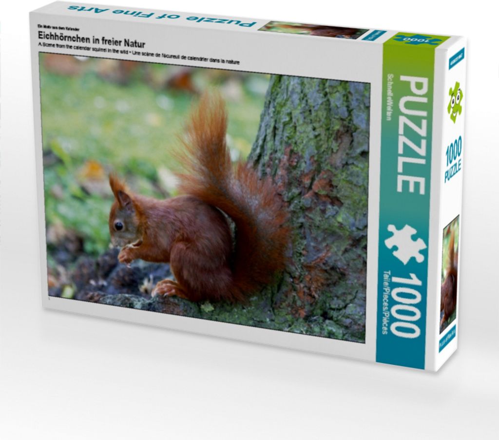 Calvendo Ein Motiv aus dem Kalender Eichhörnchen in freier Natur 1000 Teile Puzzle quer 640x480mm, CALVENDO; 7279210