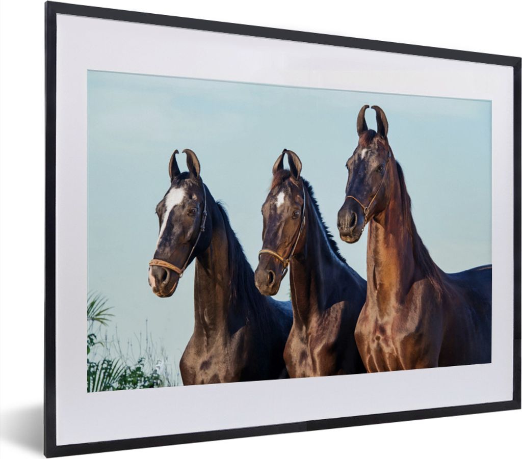 MuchoWow® MuchoWow® Gerahmtes Poster Pferde - Halfter - Produktbild 