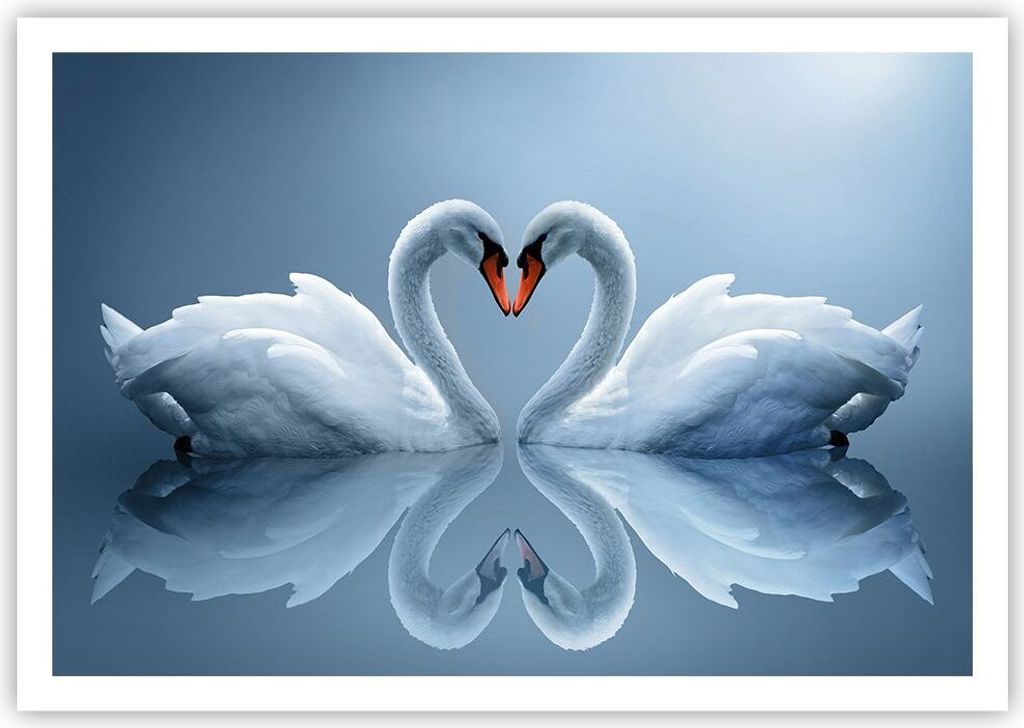 Poster - Poster ohne Rahmen - Ladung Dampf Wasser - 100x70 cm - Wand Bild - Wanddeko - Wandbilder - Kunstposter - Wandposter - Bilder - Kunstdruck ...