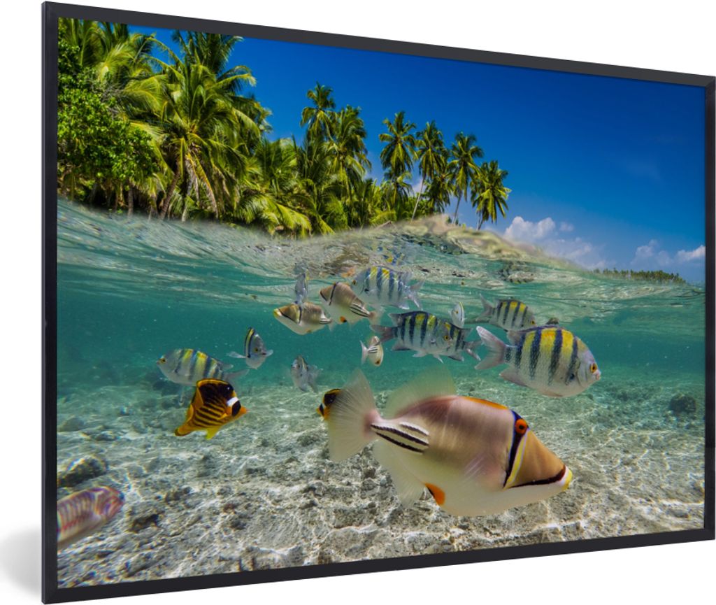 MuchoWow MuchoWow Gerahmtes Poster Strand - Angeln - Tropisch 90x60 cm - Poster mit zchwarzem Bilderrahmen - Fotorahmen - Foto-Plakat