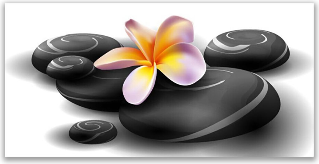 Acrylglasbilder 120x60 Wandbild Druck Blumen Steine Natur