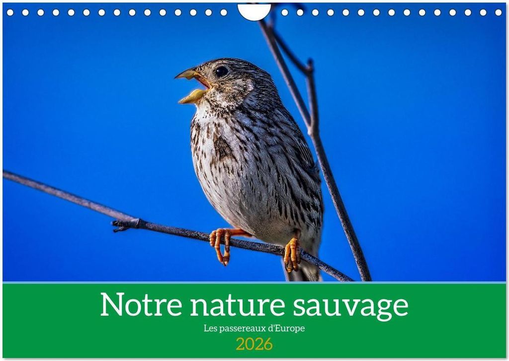 Notre nature sauvage, les passereaux d'Europe (Calendrier mural 2026 DIN A4 vertical), CALVENDO calendrier mensuel