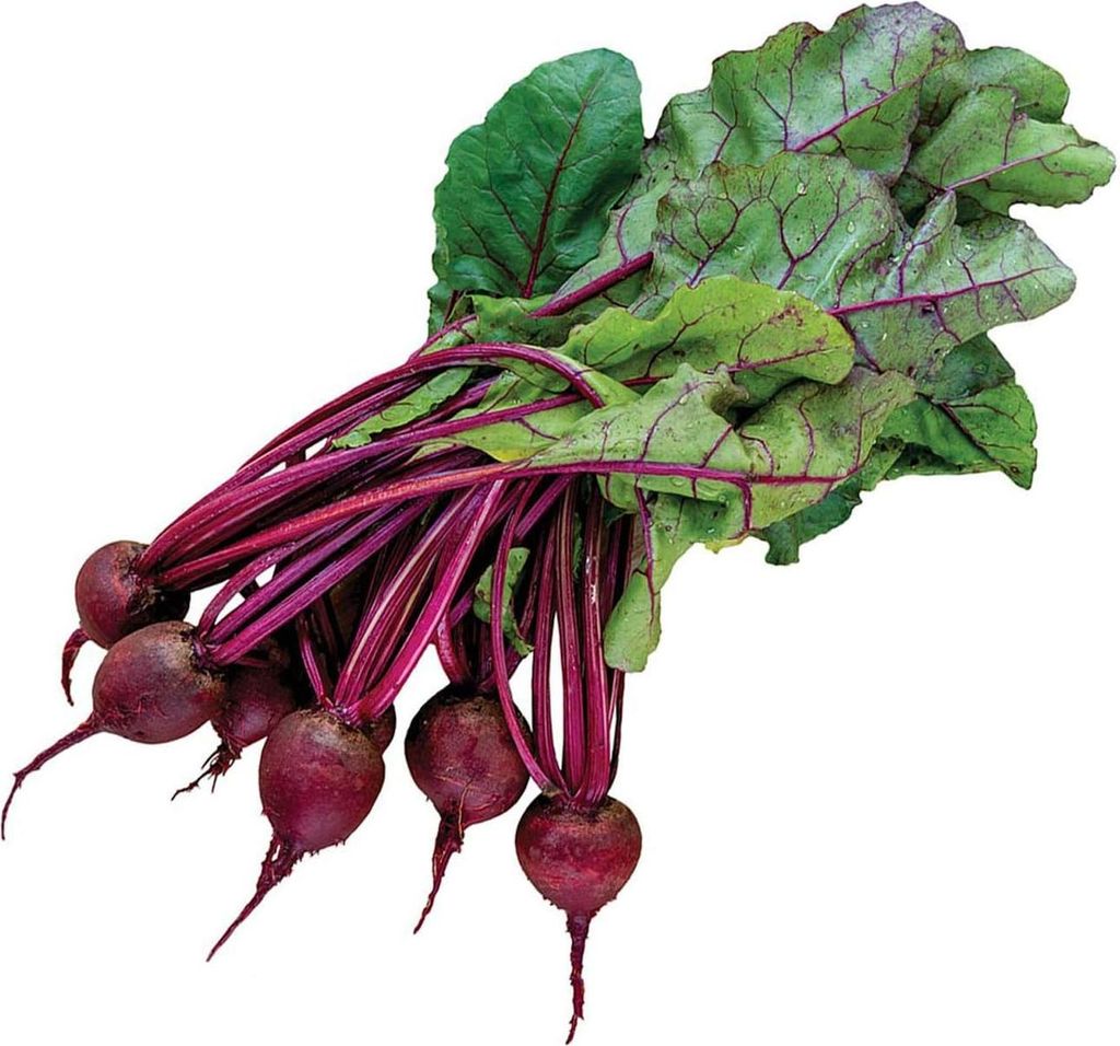 Biologische Biet Zaden - 100% Natürlich und GGO-frei für Töpfe und Garten