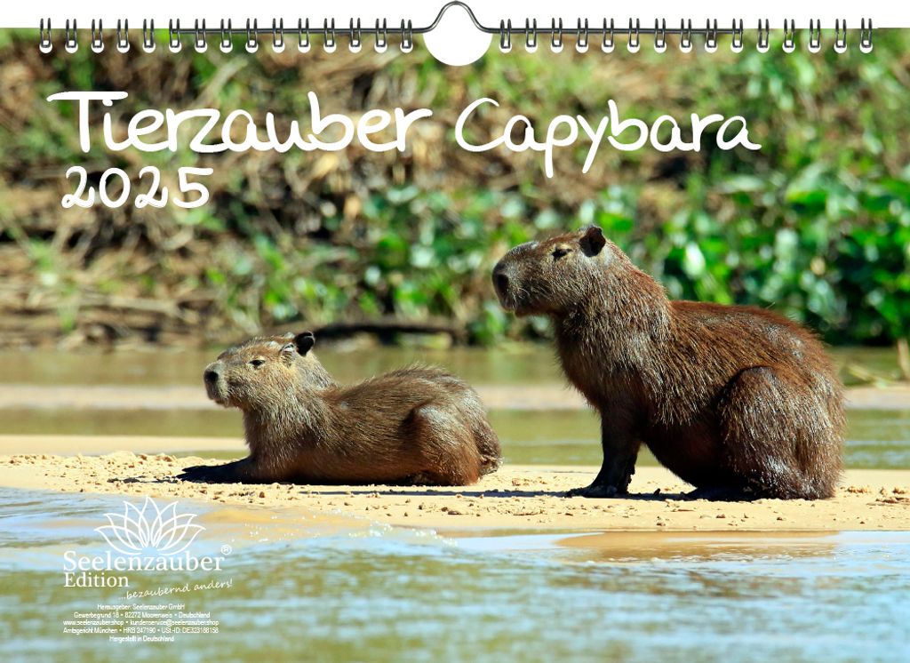 Tierzauber Capybara DIN A4 Kalender für 2025 Schwein Schweinchen - Seelenzauber