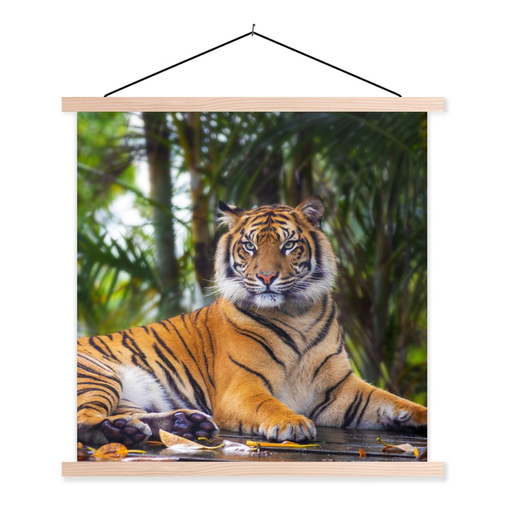 MuchoWow Textilposter Tiger - Tiere - Wald - Dschungel 40x40 cm mit holzfarbenen Rahmen - Posterleiste