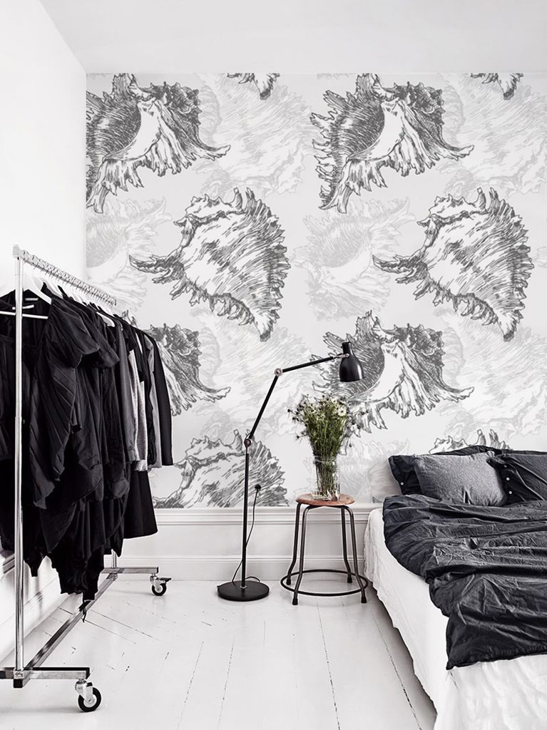 Coloray Fototapete 152x104 cm Vlies-Fototapete - Muscheln empfindliches Seedesign
