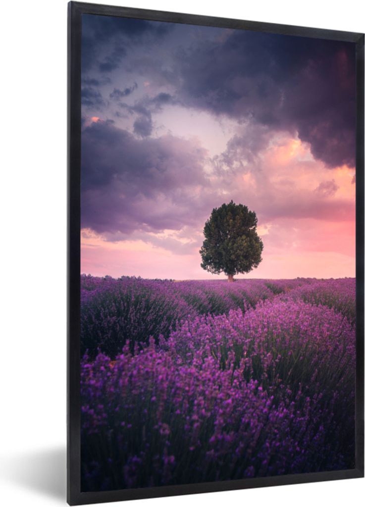 MuchoWow Gerahmtes Poster Lavendel - Lila Blumen - Baum - Natur 40x60 cm - Poster mit Schwarzem Bilderrahmen Wandposter Rahmen Foto Bilder - Papi...