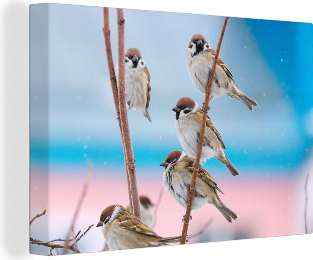 OneMillionCanvasses - Leinwandbilder - 140x90 cm, Vögel - Spatz - Tiere - Äste, Wandbilder Kunstdruck Wanddekoration - Foto auf Leinwand - Gem...