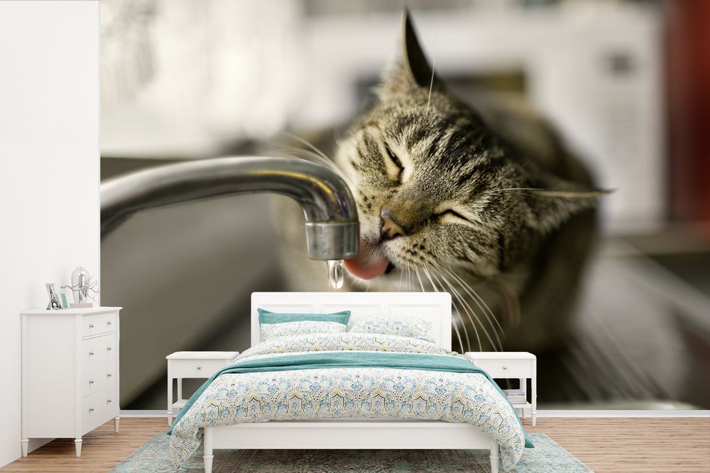 MuchoWow Fototapete für Wohnzimmer oder Schlafzimmer Wandtapete Vinyl Motivtapete Katze - Wasserhahn - Getränk - 600x400 cm - Vinyltapeten
