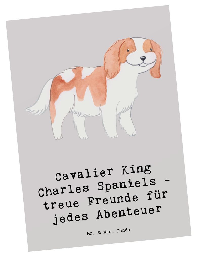 Mr. & Mrs. Panda Postkarte Cavalier King Charles Spaniel Freunde - Grau Pastell - Geschenk, loyal, intelligent, Hundeliebhaber, Freundschaft, Hunde...
