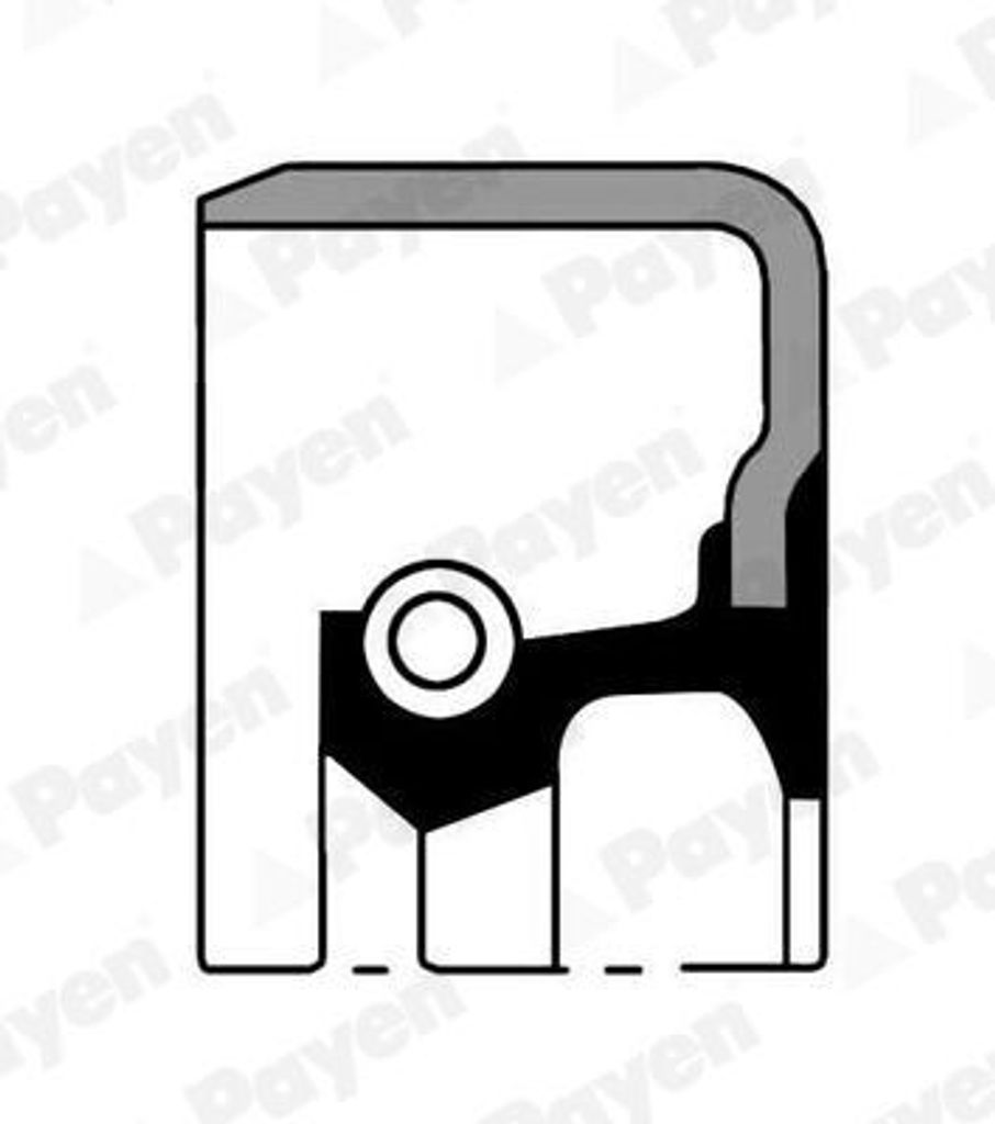 PAYEN Wellendichtring Radnabe NJ562 Hinten für SUZUKI JIMNY Produktbild 