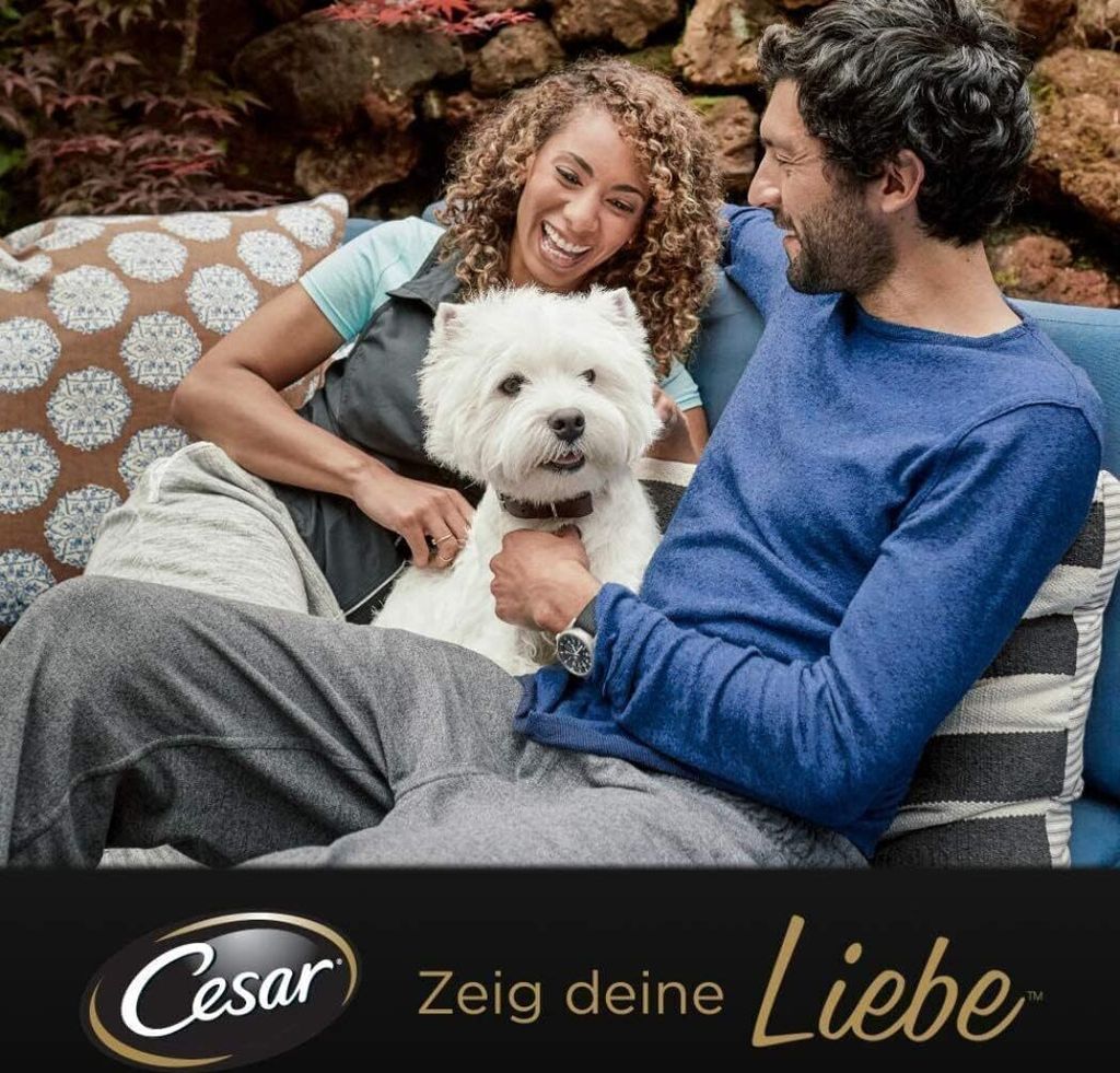 Cesar Landküche Hundefutter Nassfutter Mulitpack 8x150g Produktbild 6