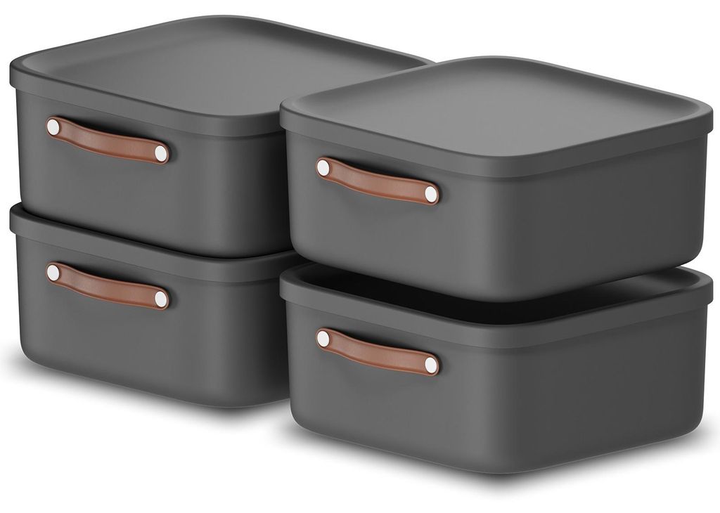 Rotho 4er-Set Aufbewahrungsbox 20 L Maloja - Kunststoffbox Produktbild 