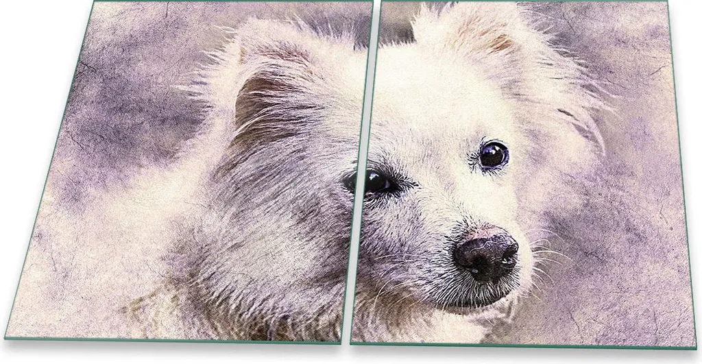 Coprifornelli in Vetro 40x52 Bianco con Animali - Arredo Cucina