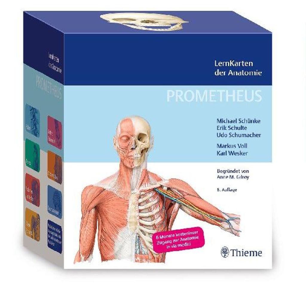 PROMETHEUS LernKarten der Anatomie Produktbild 