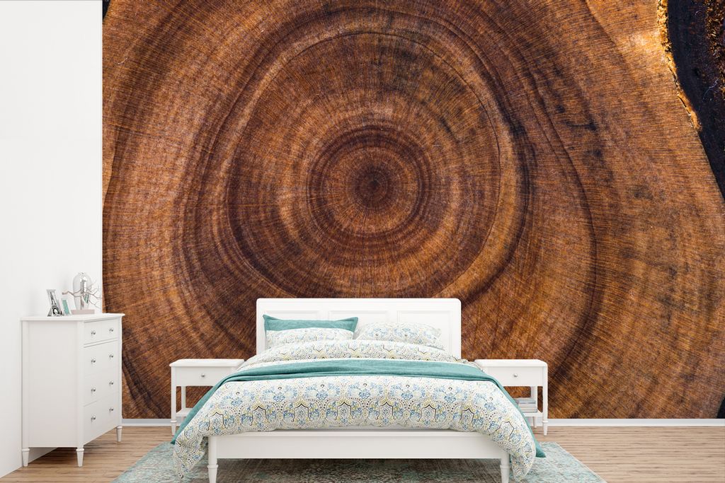 MuchoWow Fototapete für Wohnzimmer oder Schlafzimmer Wandtapete Vinyl Motivtapete Kreis - Holz - Ringe - 330x220 cm - Fototapeten