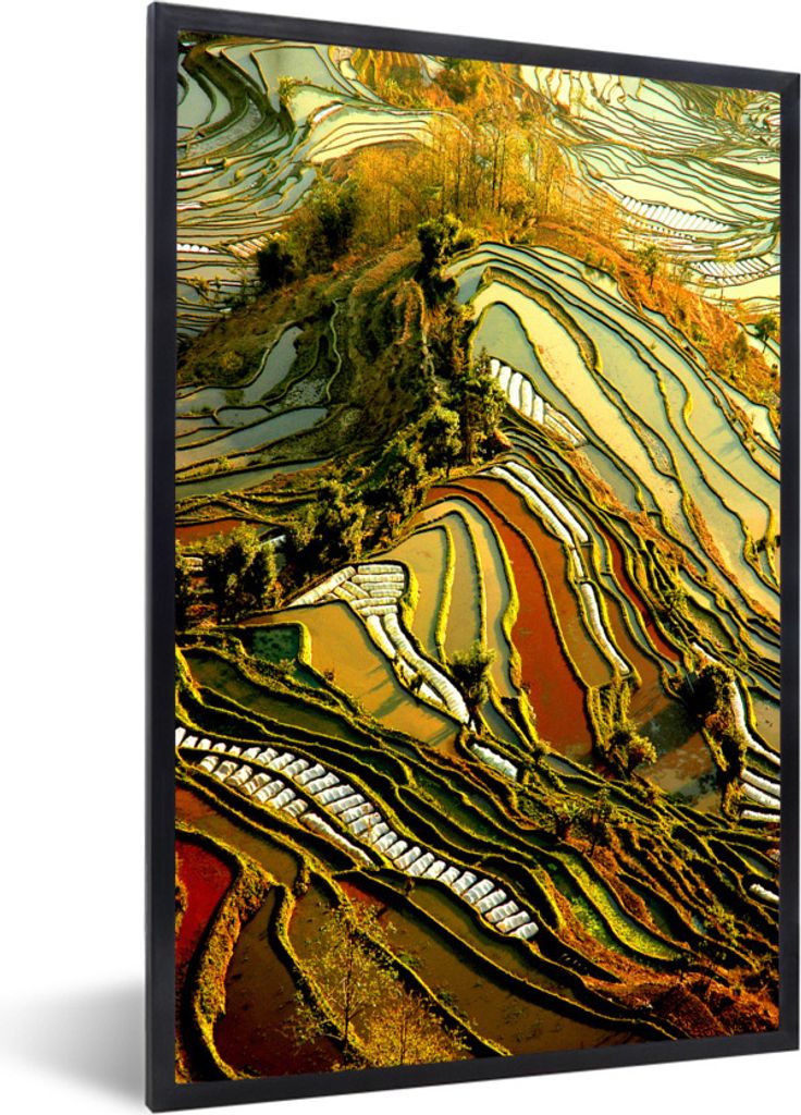 MuchoWow Gerahmtes Poster Schöne Farbpalette von Reisfeldern in China 20x30 cm - Poster mit Schwarzem Bilderrahmen Wandposter Rahmen Foto Bilder...