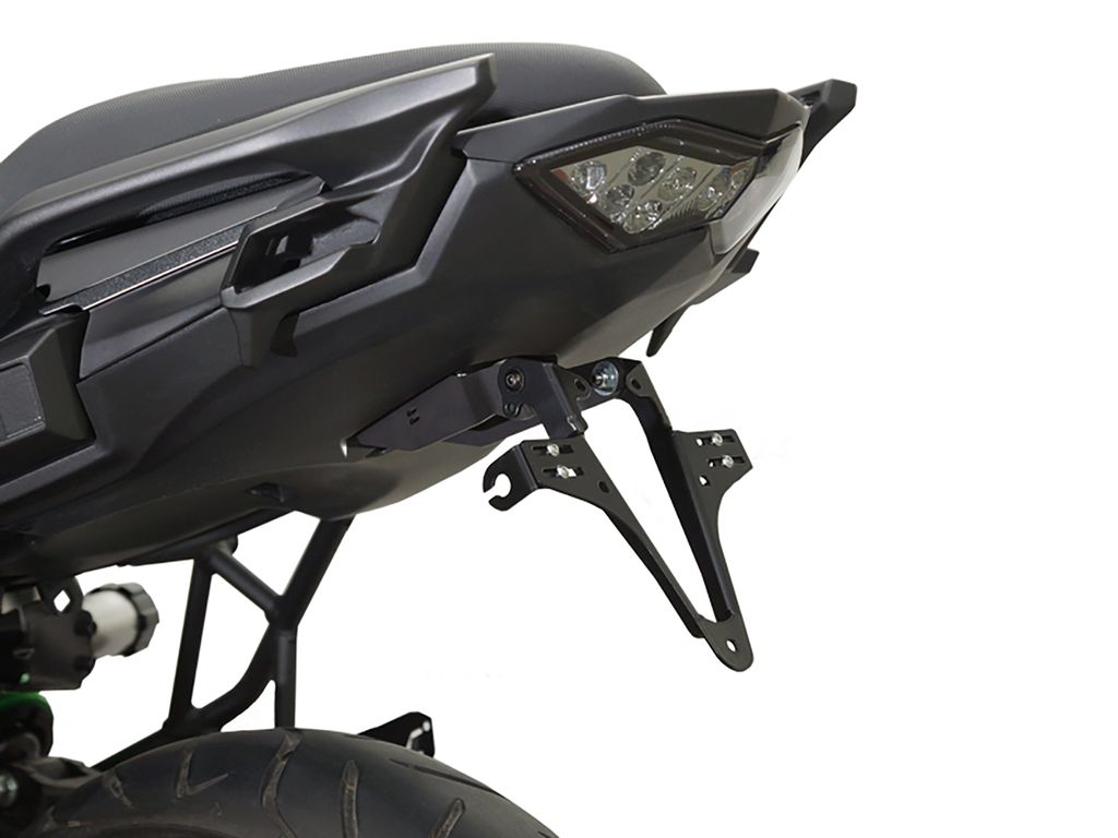 ZIEGER Basic Kennzeichenhalter kompatibel mit Kawasaki Versys 650