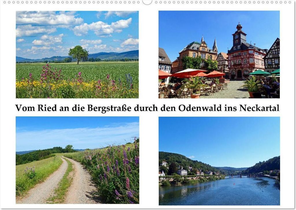 Vom Ried an die Bergstraße, durch den Odenwald ins Neckartal (Wandkalender 2026 DIN A2 quer), CALVENDO Monatskalender