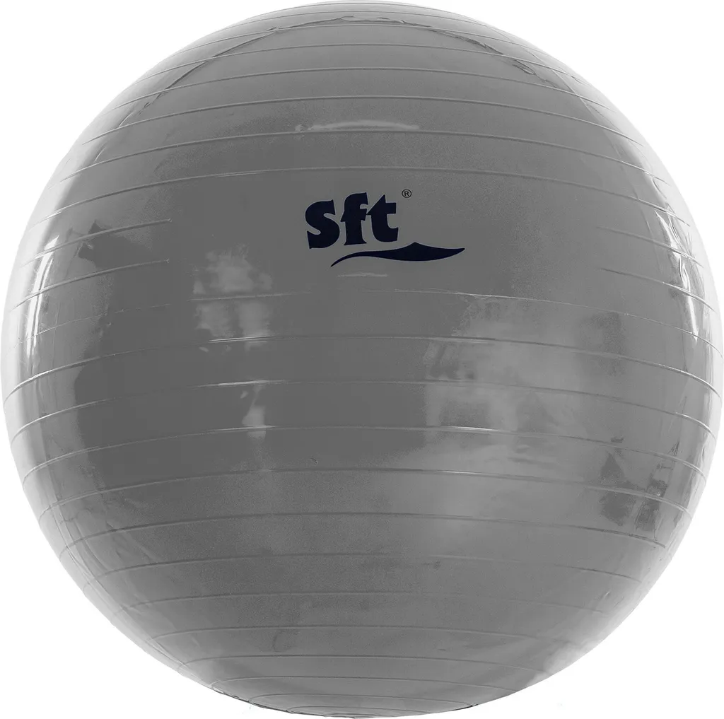 Ballon Géant Softee Gris pour Siège de Bureau Ergonomique et Dos Sans Douleur