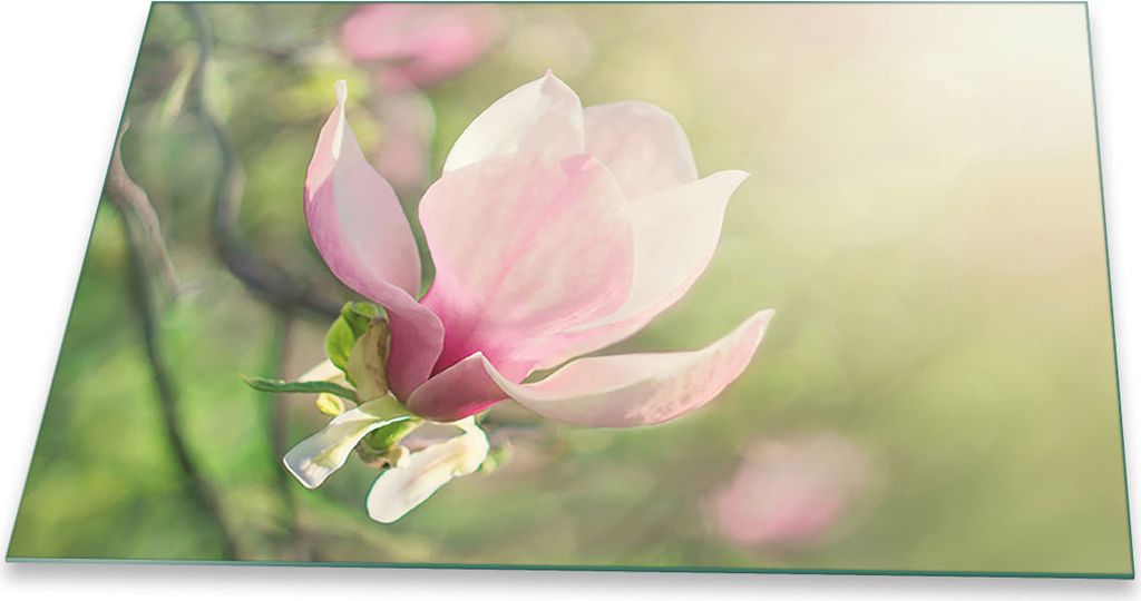 Herdabdeckplatte Glaskeramikkochfeld Spritzschutz Glas Universal Deko 80x52 Blumen Pink