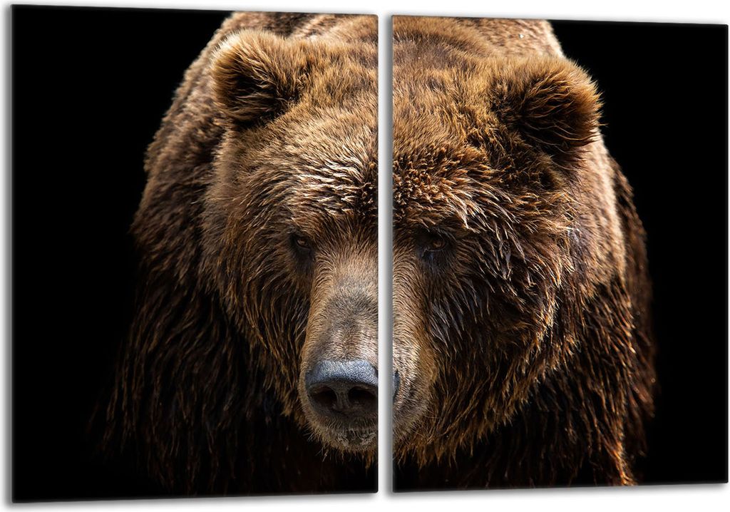 Glasschutzplatte für den Herd 2x40x52 Teddybär