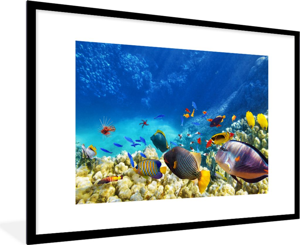 MuchoWow® MuchoWow® Gerahmtes Poster Meer - Fische - Produktbild 