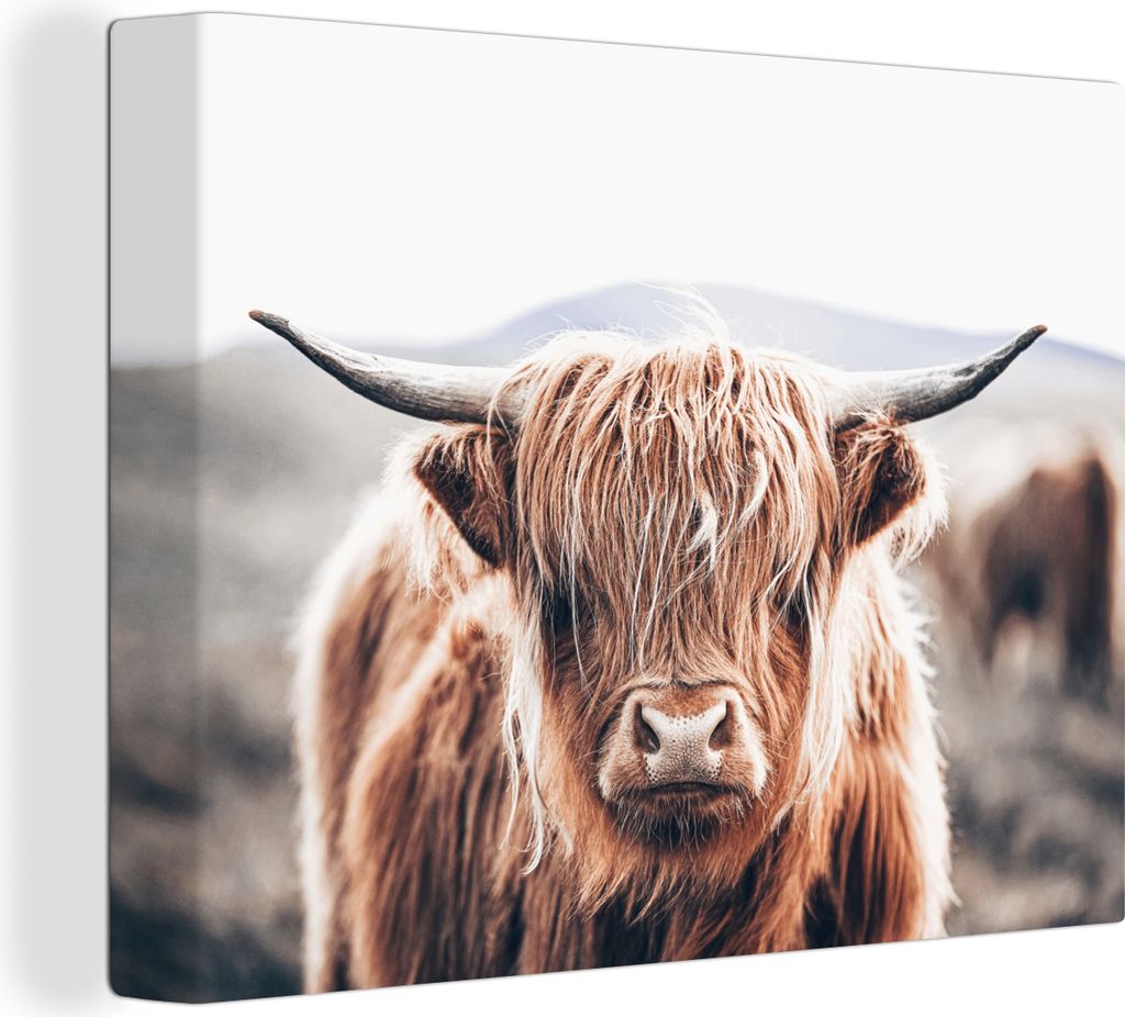 MuchoWow - Leinwandbilder - Schottischer Highlander - Berg - Hoorn, Wandbild, Wanddeko Bilder Wohnzimmer, 120x90 cm