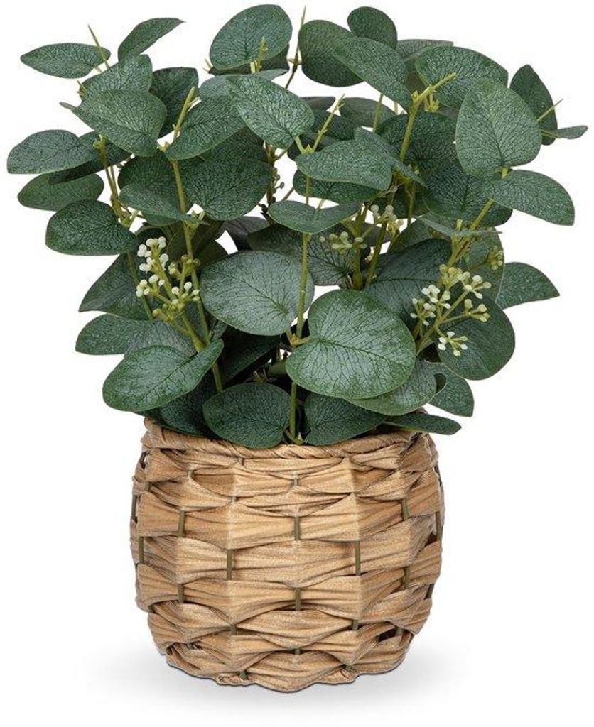 Unyqoos Kunstpflanze Eukalyptus in Topf, dekorative Pflanze für modernes Interieur, pflegeleicht, 28 cm hoch