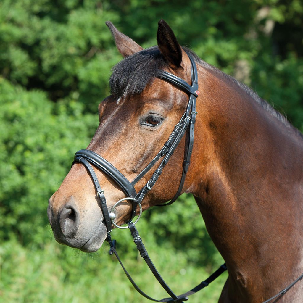 Kieffer Trensenzaum ERGONOMIC LINE in zwei Farben, Farbe:schwarz / schwarz unterlegt, Größe:Warmblut