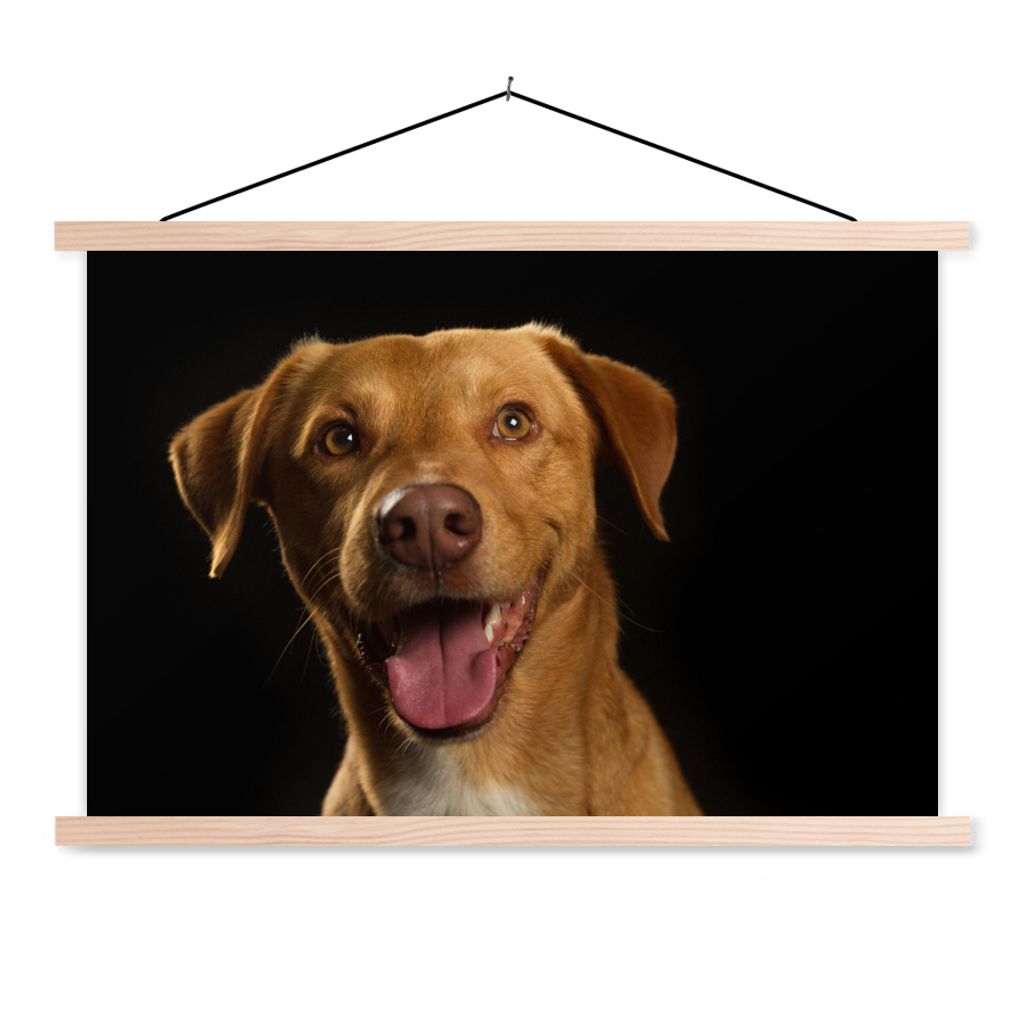 MuchoWow Textilposter Hund - Haustiere - Porträt 60x40 cm mit holzfarbenen Rahmen - Bilder