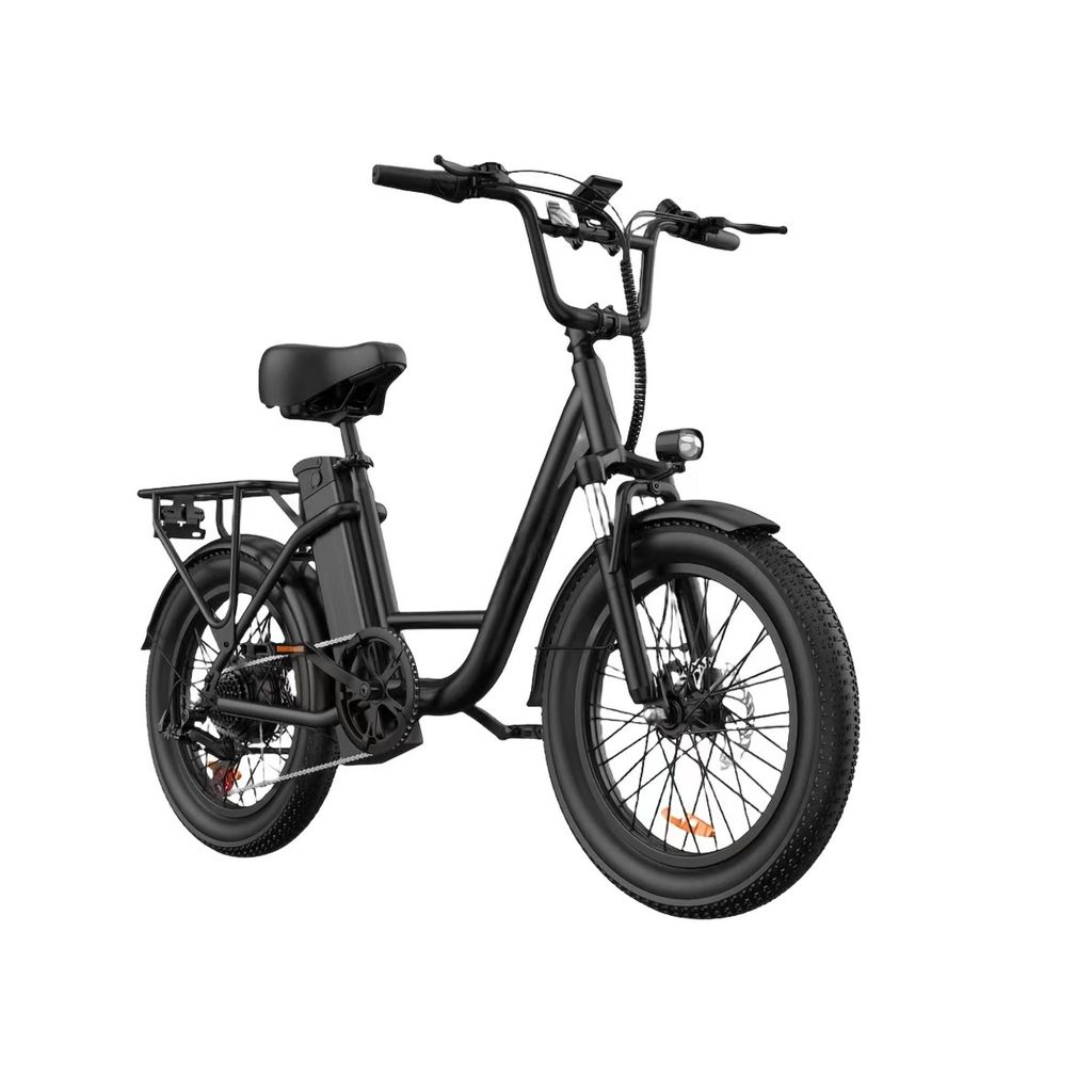 Bicicletta Elettrica URLIFE E20 - Motore 250W 48V 13Ah Immagine del prodotto 
