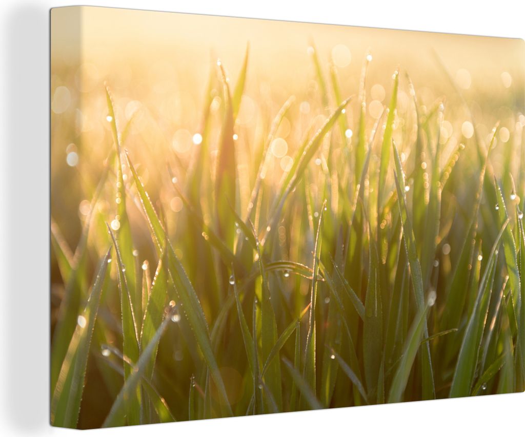 OneMillionCanvasses - Leinwandbilder - 150x100 cm, Früher Tau auf Grasblättern in der Morgendämmerung, Wandbilder Kunstdruck Wanddekoration