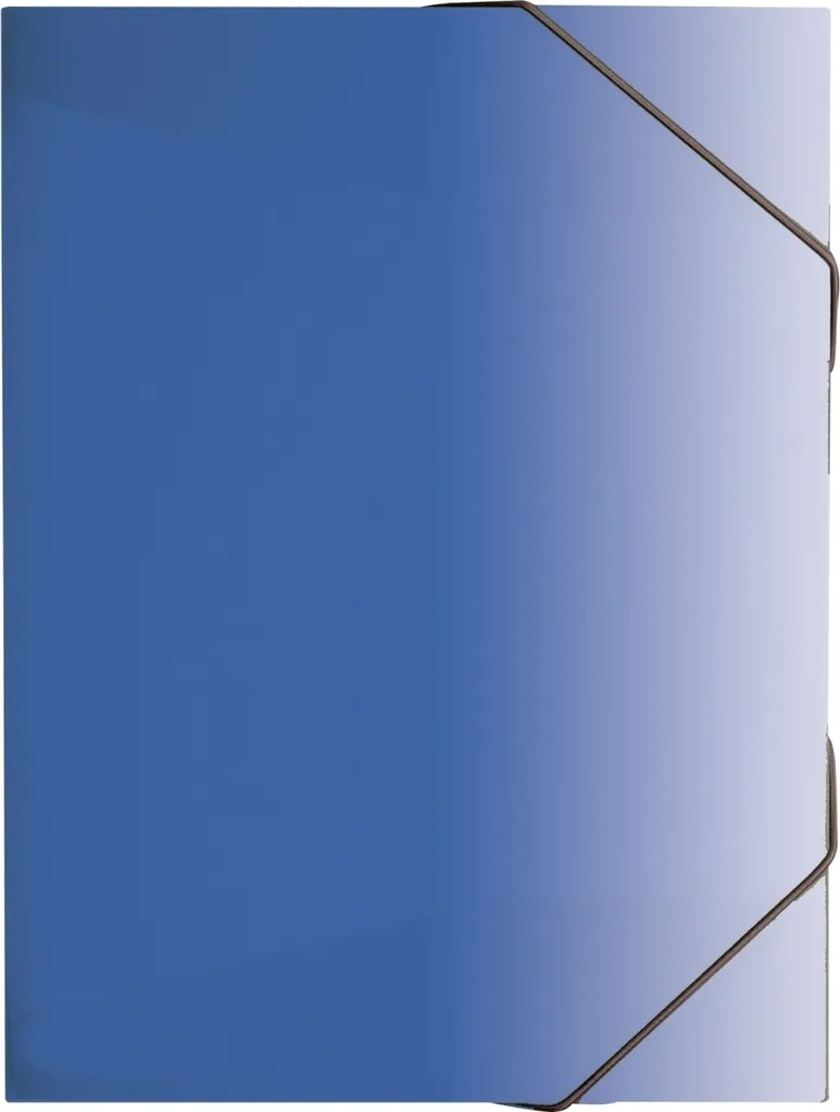 BRUNNEN 104163930 Lot de 10 Protège-documents A4 Bleu pour Classement
