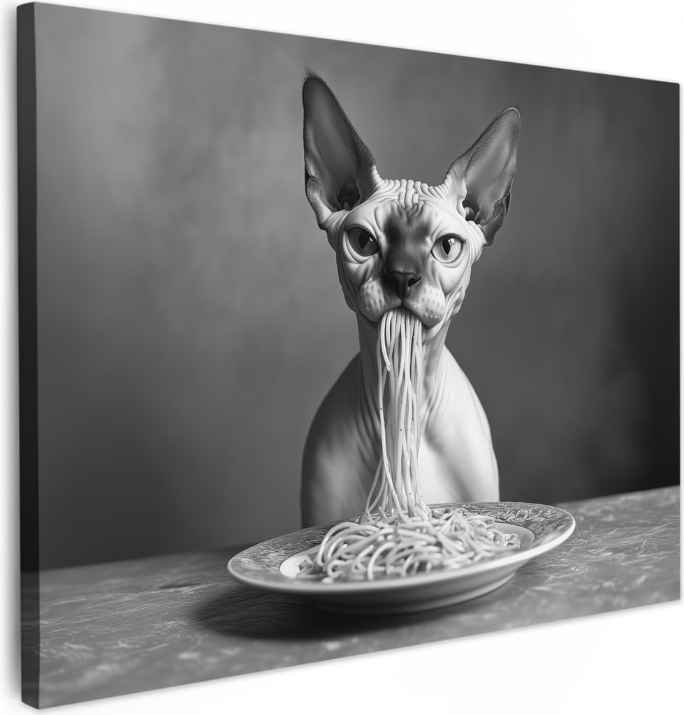 Leinwand Bilder 40x30 cm - Tiere, Komisch - Sphynx - Katze, Wandbilder, Wanddeko Wohnzimmer, Bild