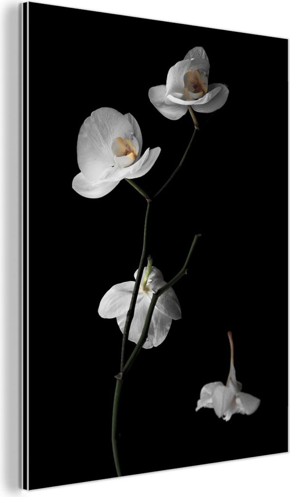 MuchoWow Wanddekoration Metall Metallbild Wandkunst 60x80 cm Orchidee - Blumen - Schwarz - Weiß - Stilleben MuchoWow Aluminium Gemälde - Wanddeko...