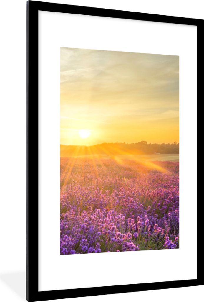 MuchoWow® Gerahmtes Poster Lavendel - Sonnenuntergang - Produktbild 