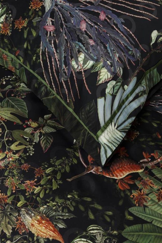 Beddinghouse Bettwäsche Menagerie_Raven_DE_UV_155x220 155 x 220 cm + 1x 80 x 80 cm 1 Bettbezug, 1 Kissenbezug