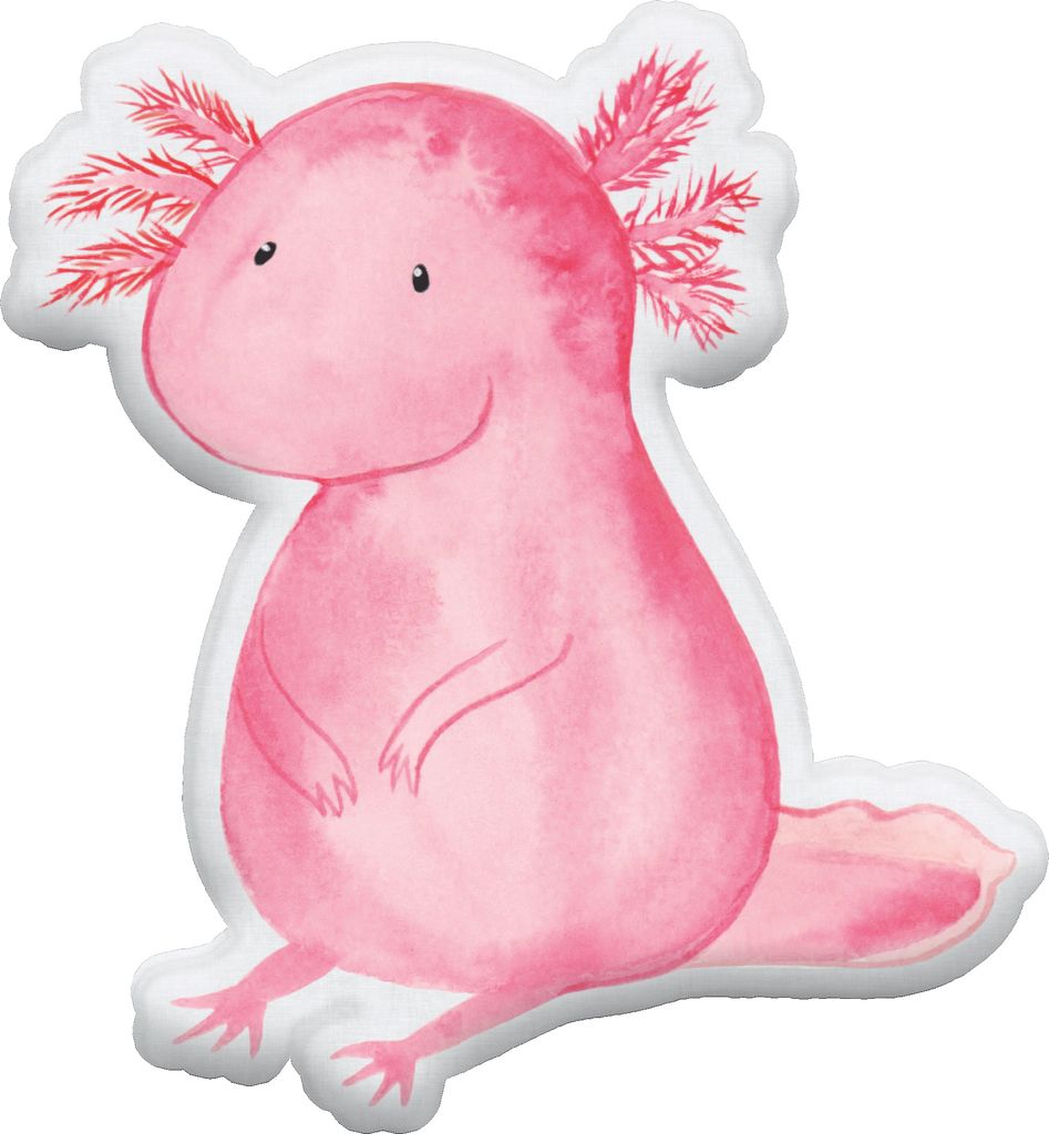 Mr. & Mrs. Panda Dekokissen Axolotl Niedlich 35 cm - Weiß - Geschenk, Kuscheltier, Fröhlich, Freundin, Kuschelkissen, Tierkissen, Weisheit, Liebe...