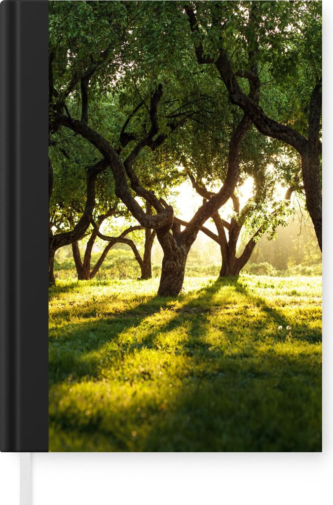 MuchoWow Notizbuch Tagebuch Haushaltsbuch Notebook A5 Bäume - Natur - Sonne - Notizblock - Notizheft - Notebook - Schreibblock - Papier