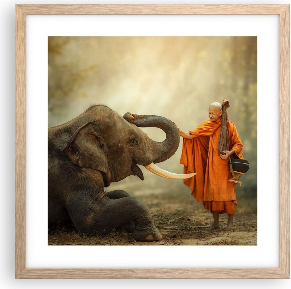 Gerahmtes Poster - Rahmen in heller Eiche - Elefant Mönch Stoßzahn - 40x40 cm - Wand Bild - Wanddeko - Wandbilder - Wandposter - Bilderrahmen - B...