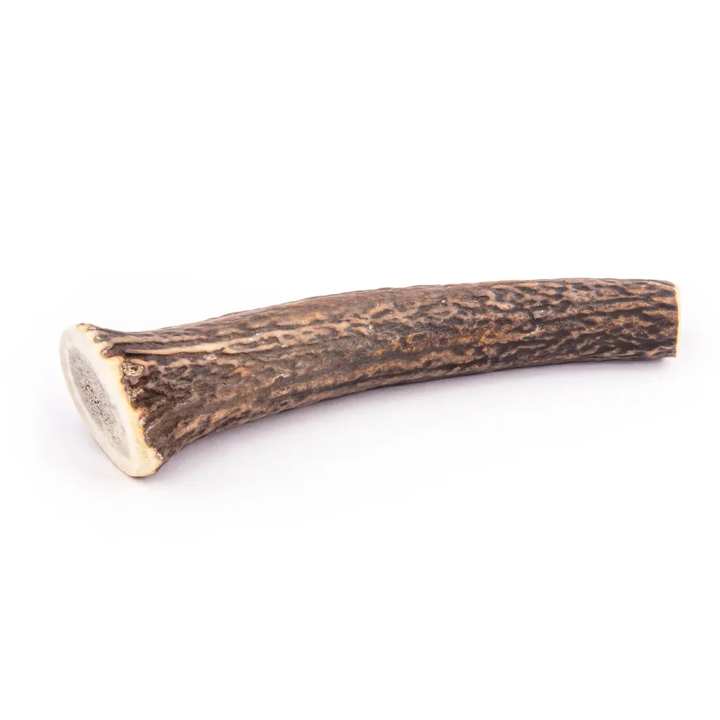 Bois de cerf XL pour chien : occupez votre animal avec ce jouet durable